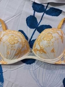 Elegant Embroidered Bra