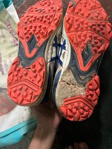 Used Pro ASE Sport Shoes