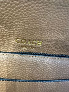 Coach  Handbag dupe