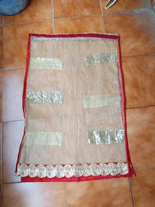Sequin Lehenga Choli Set