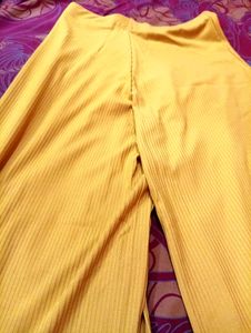 Go Colors RIB Plazzo