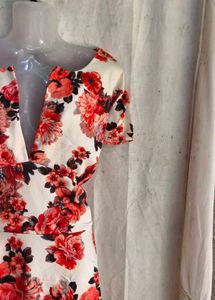 Floral Print V-Neck Dress