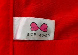 Red Lace Bra with Jewel Detail