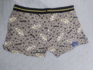 Harry Potter Boxer Shorts