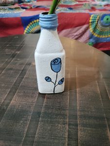 Glass Bottles With rooted Money Plant