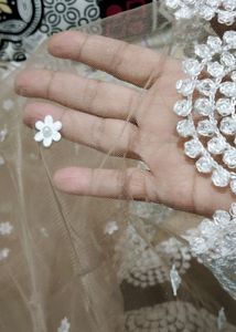 Dupatta For Women