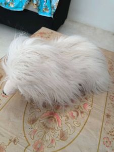 Fluffy White Stuffed Animal Toy