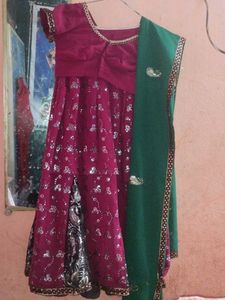 Pink &amp; Silver Embellished Lehenga Choli Set