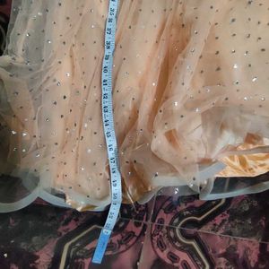 Peach Embellished Gown