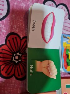 Combo Babyhug Board Book