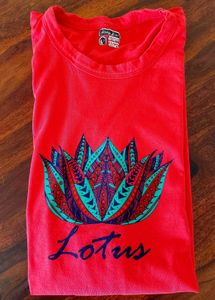 T Shirts Trouser Combo