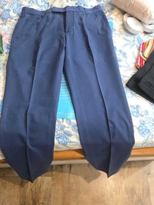 Men's Blue Textured Dress Pants