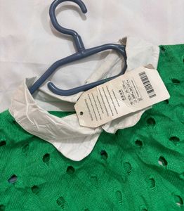 🌷New With Tag Korean Green Shirt A