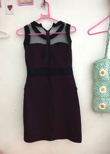 Stylish Net Neck Bodycon Dress