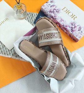Dior Flats New Stock Premium
