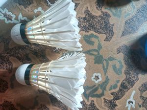 Badminton Cock