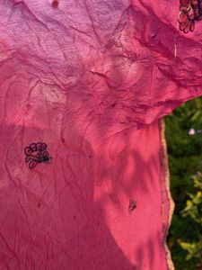 Beautiful Pink Embroidered Saree