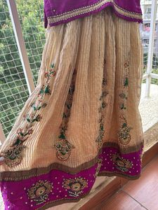 Designer Embroidered Lehenga and blouse