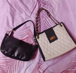 Combo of Bags