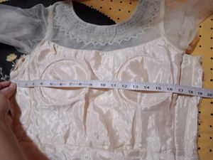 Party Wear Gown With Net Neck