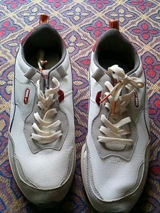 Puma Sneakers
