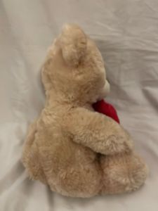 Cute Teddy Bear with "Be Mine" Heart