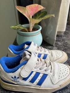 adidas shoes