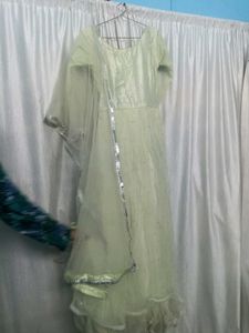 Elegant Embellished Ethnic Gown