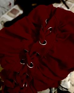 Chic Red Corset Style Crop Top