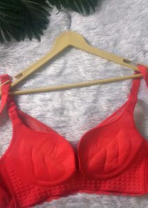 Korean brand padded Bra