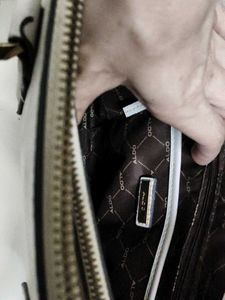 Original ALDO Handbag