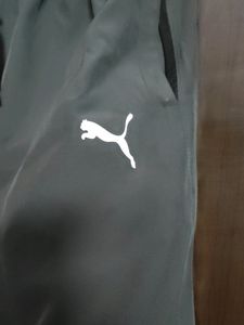 Cheap Casual Active Wear Shorts
