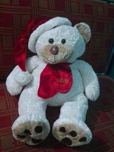 Teddy