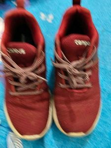 Campus Maroon Running Shoes