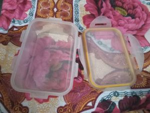 5 Lunch Boxes For School Children