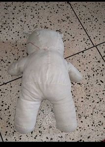 White Plush Bear - 'Just For You'