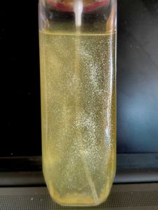 Shimmer Body Mist - Aurora