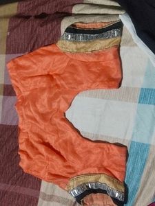 Orange Saree with Embellished Border