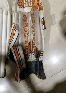 Sunridges Platino Cricket Leg Guards