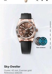 Rolex Sky-Dweller Watch