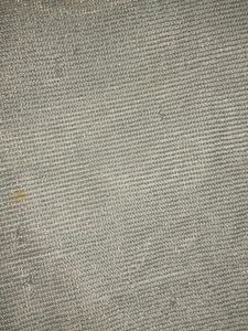 Sparkly Silver Cropped Top