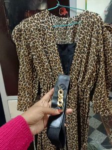 Leopard Print Fit &amp; Flare Dress