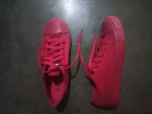 red Canvas Sneakers