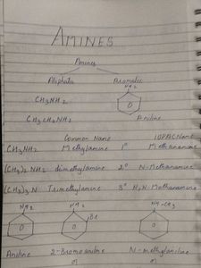 Class 12 Organic Chemistry Notes