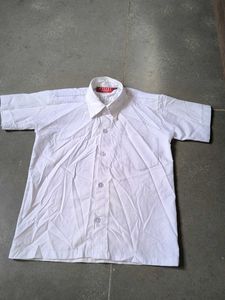 Classic White Short Sleeve Shirt