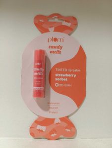 Set Of 6 - PLUM LIPBALM