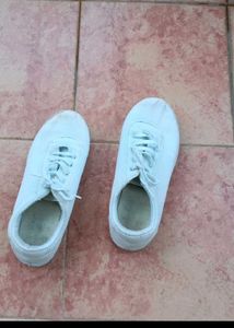 Classic White Canvas Shoes Size 8