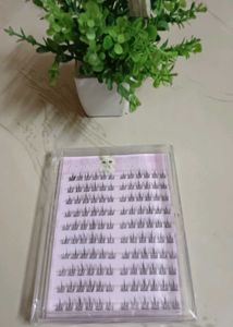 🇰🇷 Glue-Free False Eyelashes