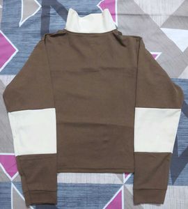 Brown &amp; Beige Color Korean Crop Top