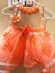 Beautiful Net Dress For Girls(Kids)